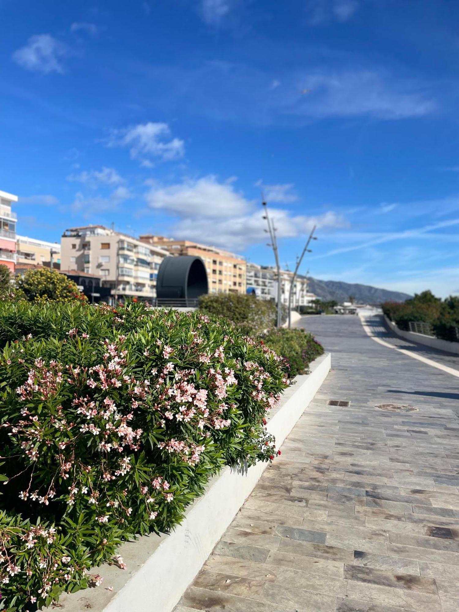 Apartament Casa Rosa Nova Marbella Zewnętrze zdjęcie